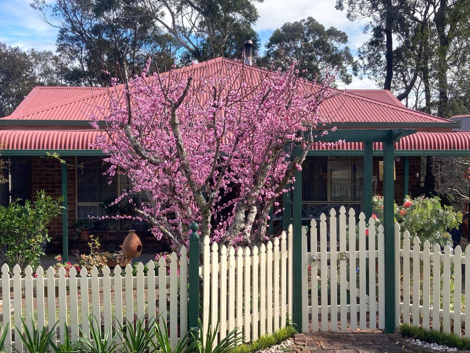 Bensville Blue Gum Cottage On Bay מראה חיצוני תמונה