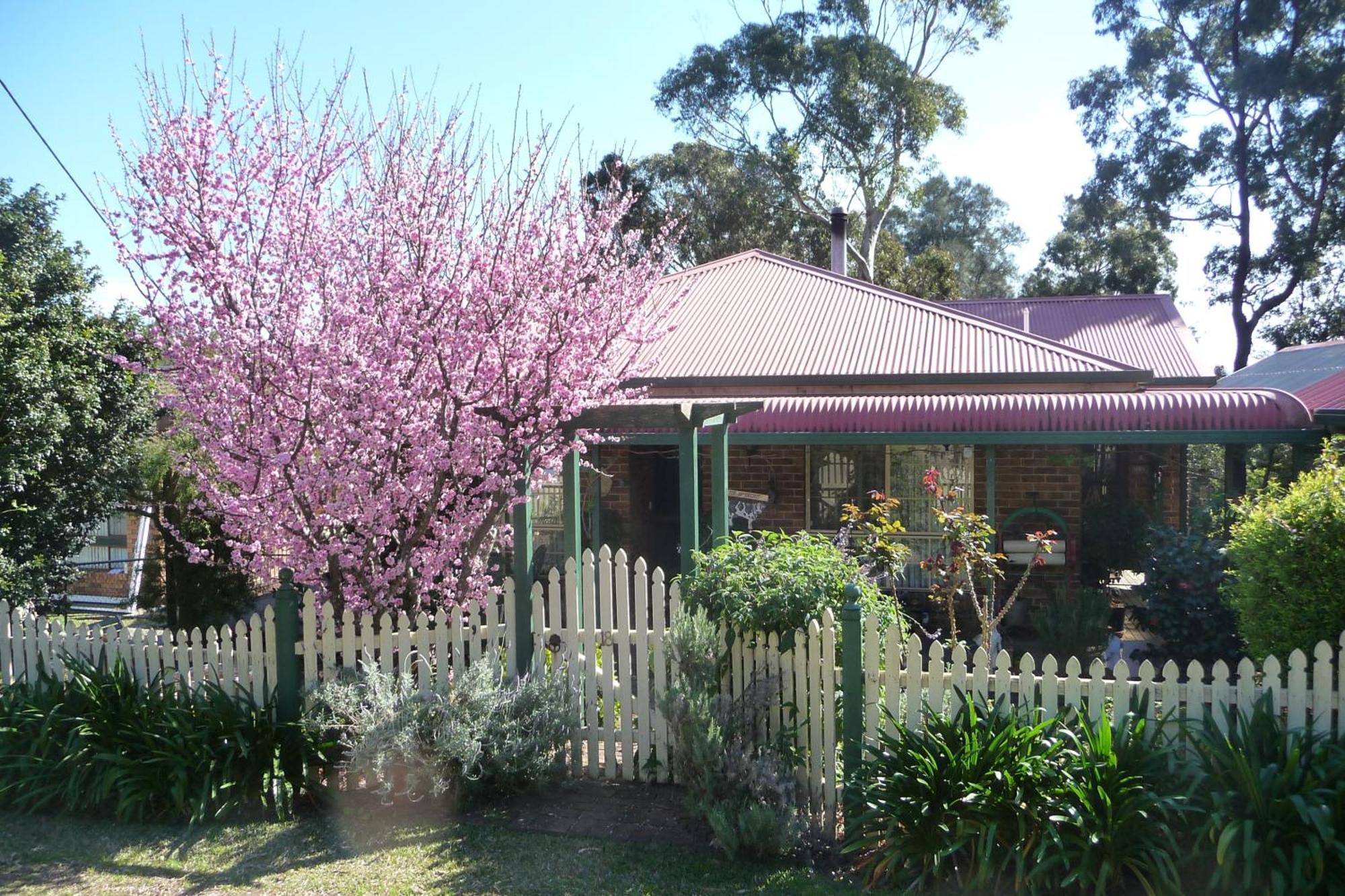 Bensville Blue Gum Cottage On Bay מראה חיצוני תמונה