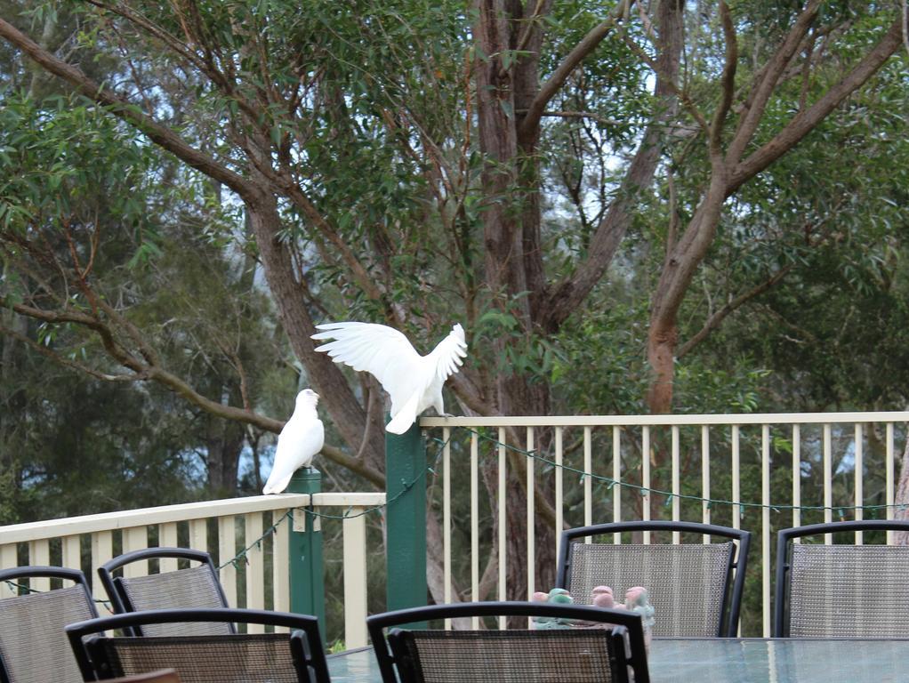 Bensville Blue Gum Cottage On Bay מראה חיצוני תמונה